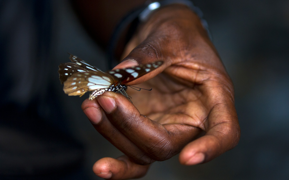 Man holding a butterfly.